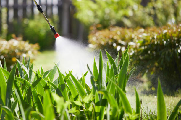24/7 Emergency Cockroach Control experts in New Burlington, OH