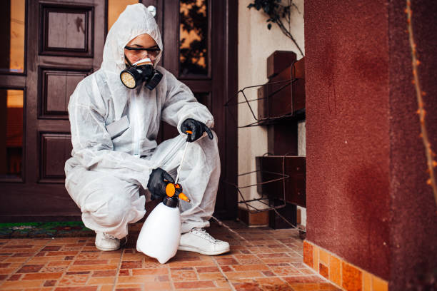 Reliable Cockroach Control contractor in New Burlington, OH by Nex Pest Control